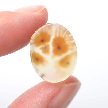 デンドリティックアゲート Dendritic Agate N140