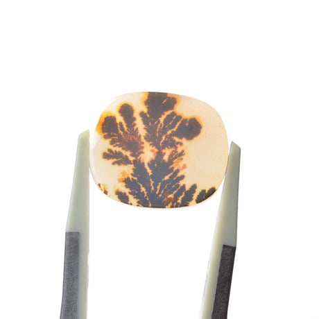 デンドリティックアゲート Dendritic Agate N055
