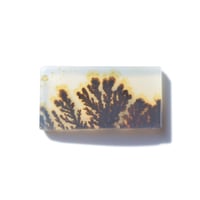 デンドリティックアゲート Dendritic Agate 072