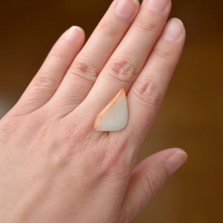 ジェダイト・ヒスイ Jadeite・Jade N010