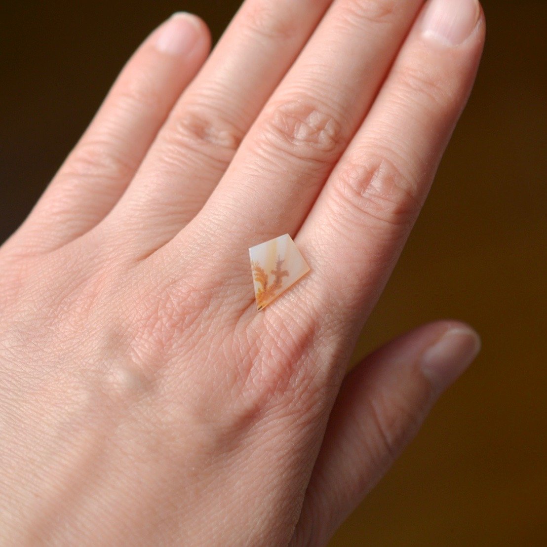 デンドリティックアゲート Dendritic Agate 064 | MARU