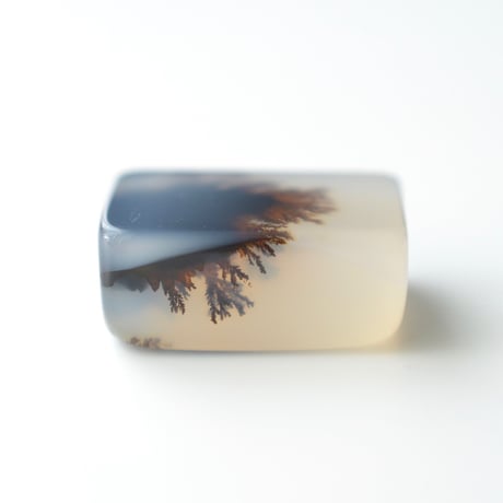 デンドリティックアゲート Dendritic Agate N150