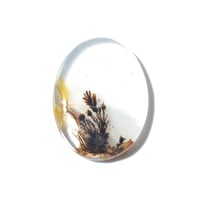 デンドリティックアゲート Dendritic Agate 091