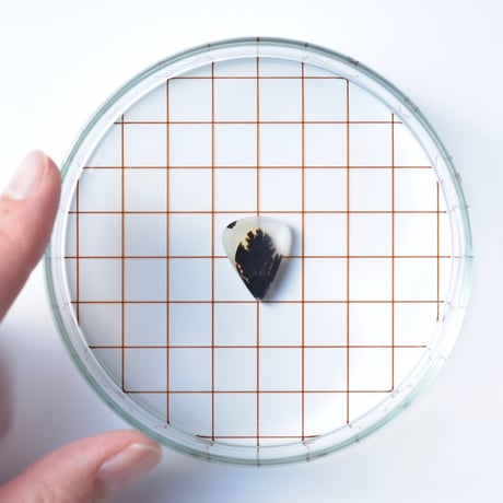 デンドリティックアゲート Dendritic Agate N040