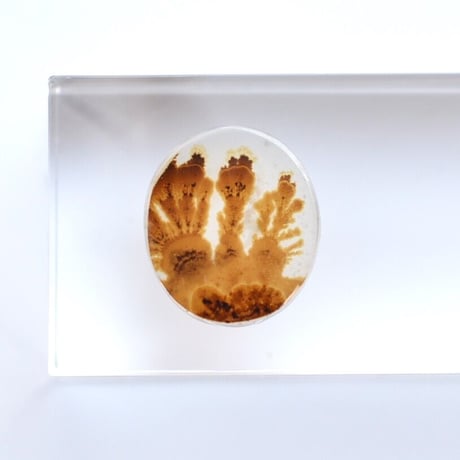 デンドリティックアゲート Dendritic Agate 005