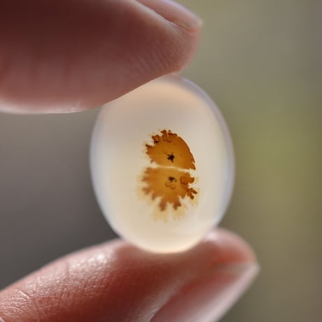 【自社研磨】デンドリティックアゲート Dendritic Agate 011
