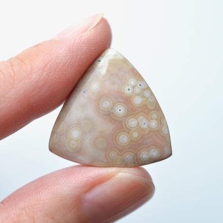 オーシャンジャスパー Ocean Jasper N002