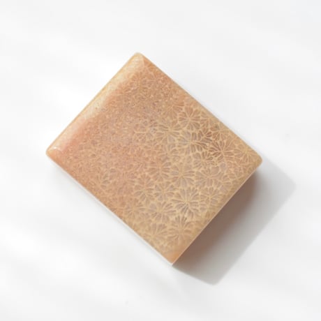 フォッシルコーラル Fossil Coral N038