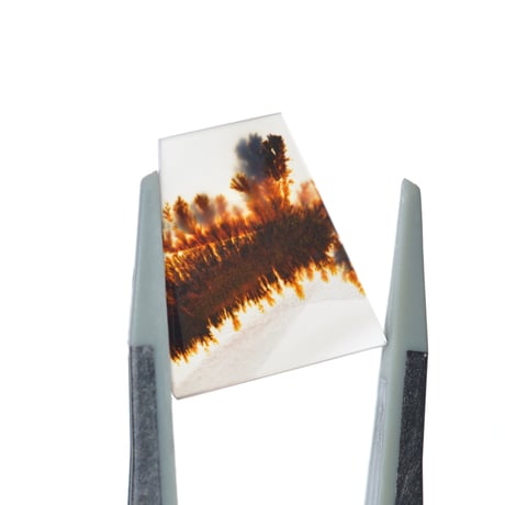 デンドリティックアゲート Dendritic Agate 077