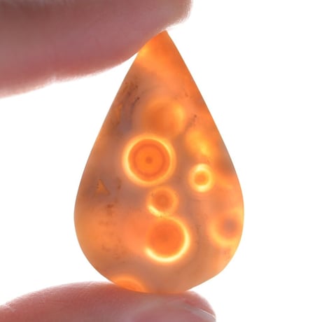 オーシャンジャスパー Ocean Jasper N009