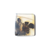 デンドリティックアゲート Dendritic Agate 101