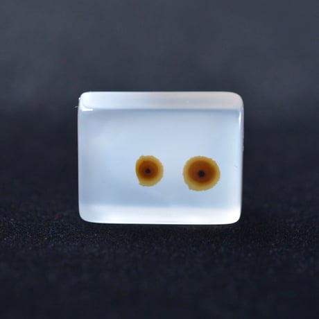 デンドリティックアゲート Dendritic Agate N135