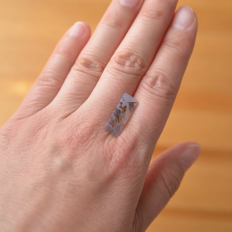 デンドリティックアゲート Dendritic Agate 080