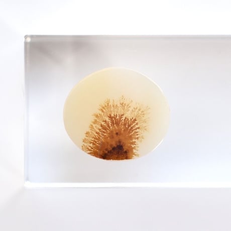 デンドリティックアゲート Dendritic Agate 003