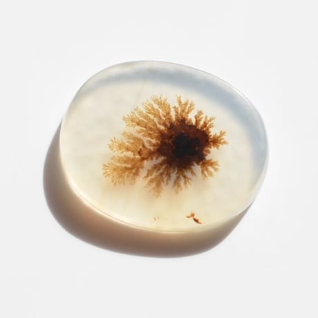 デンドリティックアゲート Dendritic Agate 001