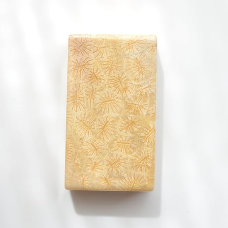 フォッシルコーラル Fossil Coral N023