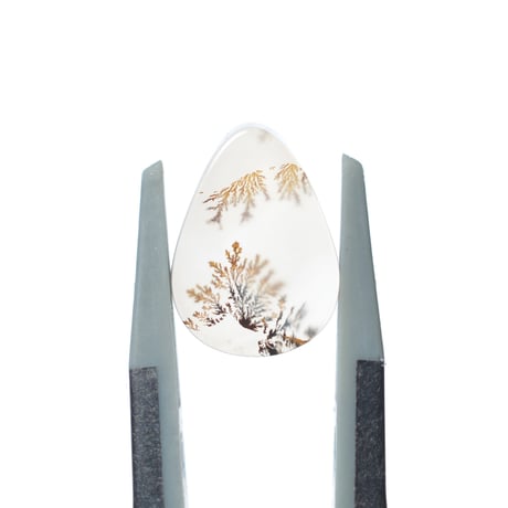 デンドリティックアゲート Dendritic Agate 093