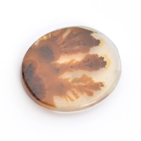 デンドリティックアゲート Dendritic Agate 005