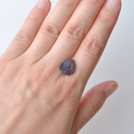 デンドリティックアゲート Dendritic Agate 023