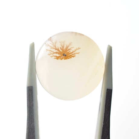 デンドリティックアゲート Dendritic Agate N112