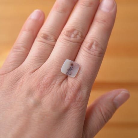 デンドリティックアゲート Dendritic Agate 089