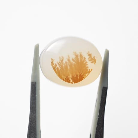 デンドリティックアゲート Dendritic Agate N116
