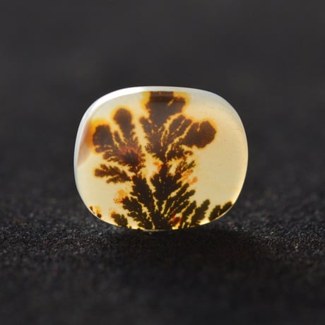 デンドリティックアゲート Dendritic Agate N055