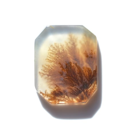 CATEGORY デンドリティックアゲート/Dendritic Agate | MARU