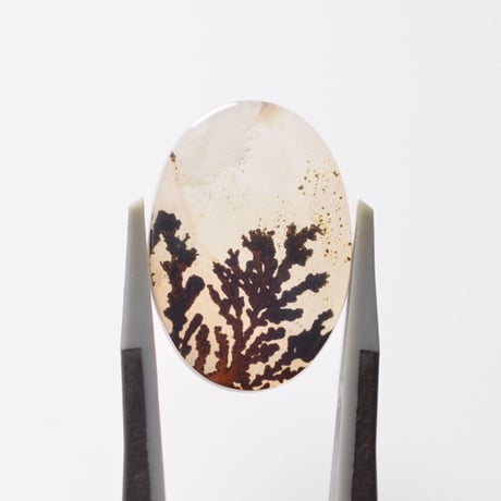デンドリティックアゲート Dendritic Agate 015