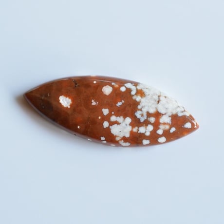 オーシャンジャスパー Ocean Jasper N006