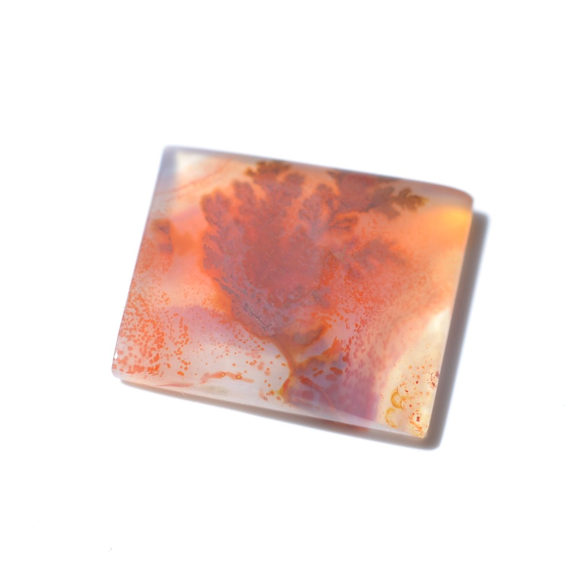 デンドリティックアゲート Dendritic Agate 078 | MARU