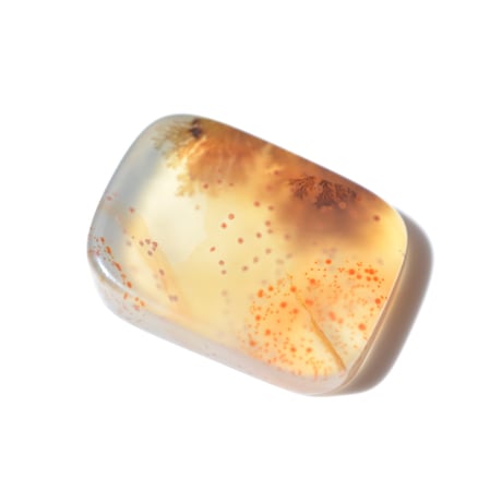デンドリティックアゲート Dendritic Agate 081