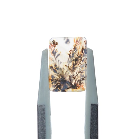 デンドリティックアゲート Dendritic Agate 098
