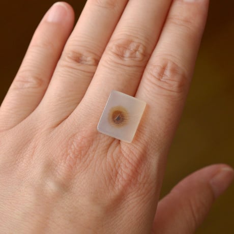 デンドリティックアゲート Dendritic Agate N146