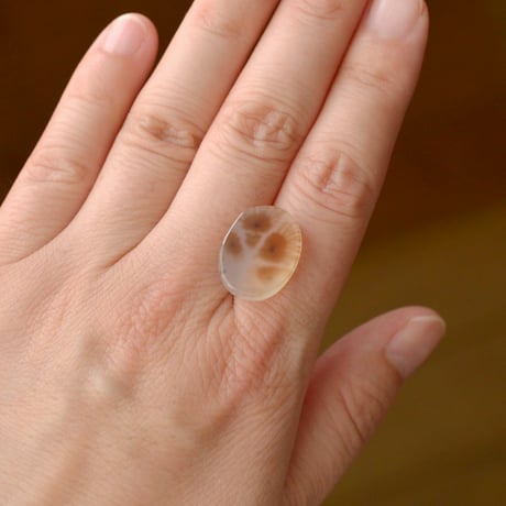 デンドリティックアゲート Dendritic Agate N140