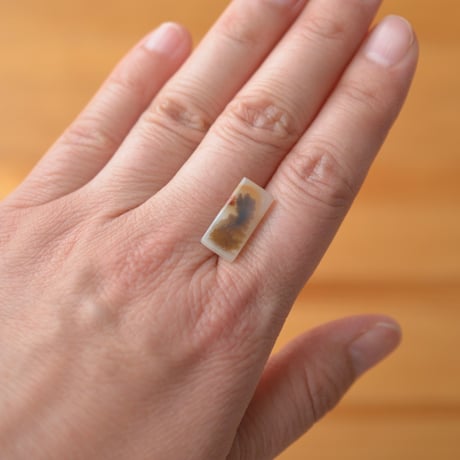 デンドリティックアゲート Dendritic Agate 082