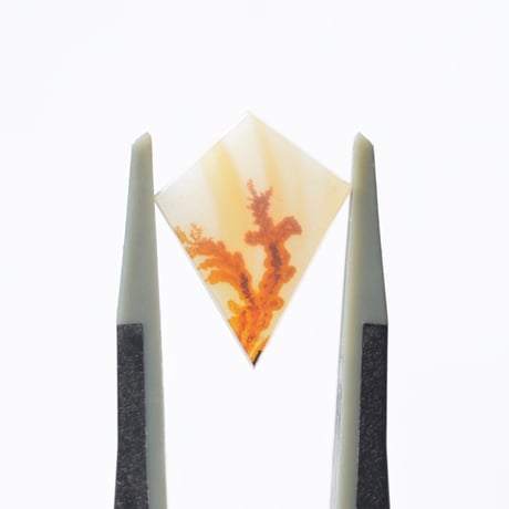 デンドリティックアゲート Dendritic Agate 064