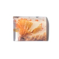 デンドリティックアゲート Dendritic Agate 086