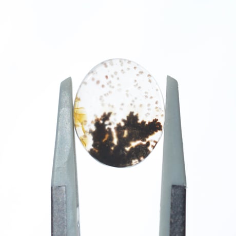 デンドリティックアゲート Dendritic Agate 097