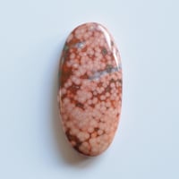 オーシャンジャスパー Ocean Jasper N005