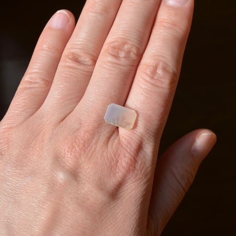【自社研磨】デンドリティックアゲート Dendritic Agate 016