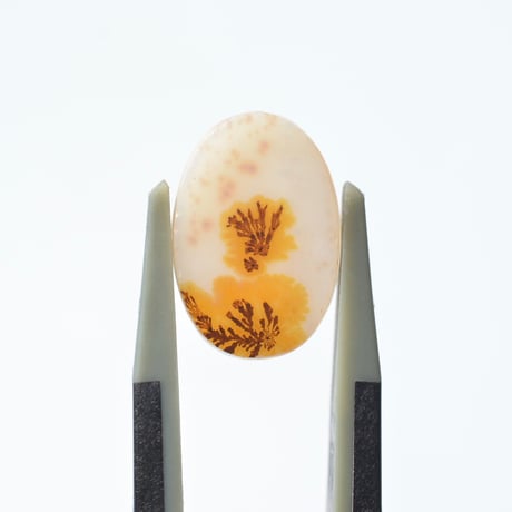 デンドリティックアゲート Dendritic Agate 056