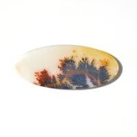 デンドリティックアゲート Dendritic Agate 047