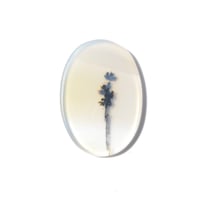 デンドリティックアゲート Dendritic Agate 088