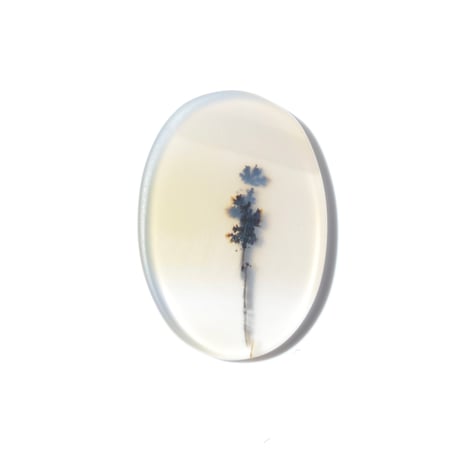 デンドリティックアゲート Dendritic Agate 088