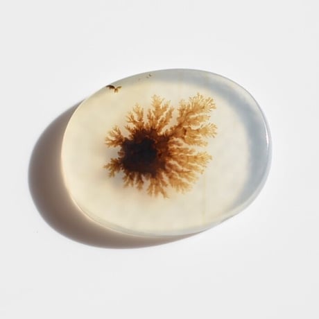 デンドリティックアゲート Dendritic Agate 001