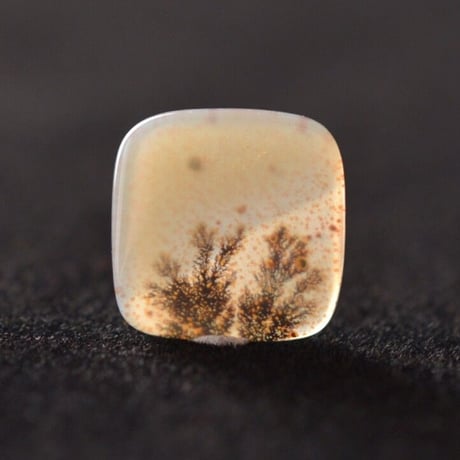 画像B】ザクザク結晶 デンドリ✳︎アゲート キノコ✳︎Agate Mushroom