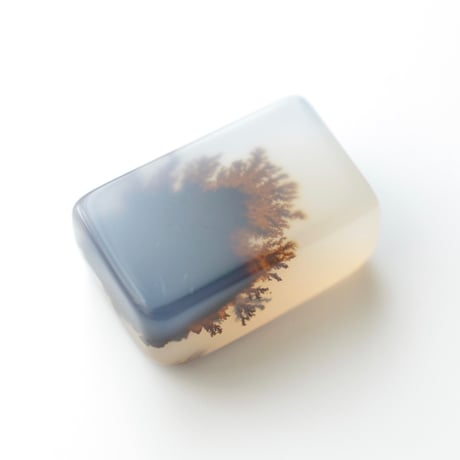 デンドリティックアゲート Dendritic Agate N150