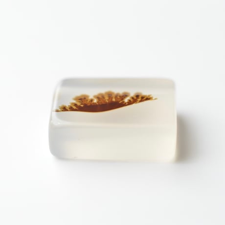 デンドリティックアゲート Dendritic Agate N145