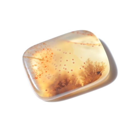 デンドリティックアゲート Dendritic Agate 081